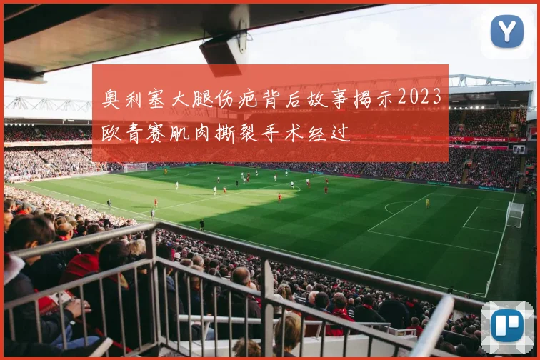 奥利塞大腿伤疤背后故事揭示2023欧青赛肌肉撕裂手术经过